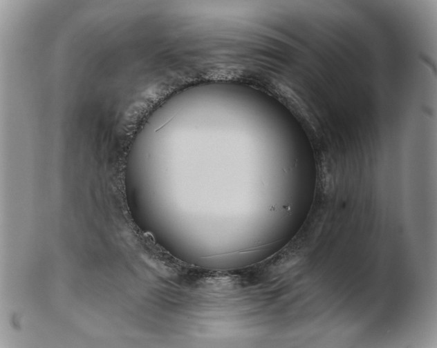 X0000102820307200808251117