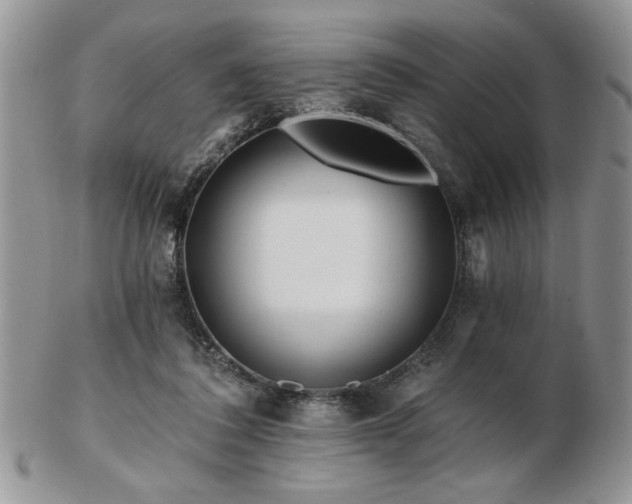 X0000102820308200808251117