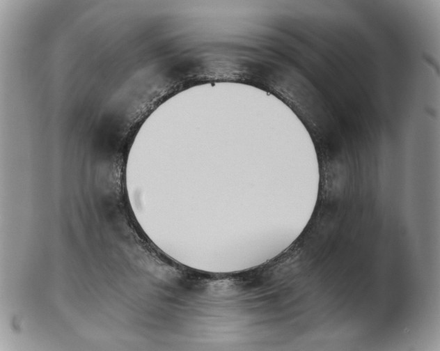 X0000102820309200808251117