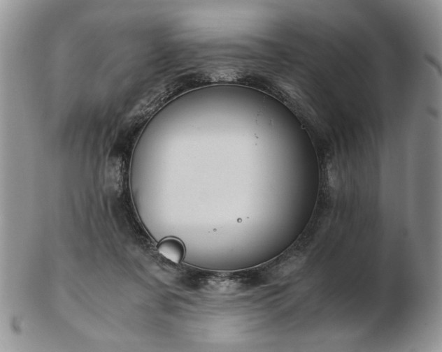 X0000102820311200808251117