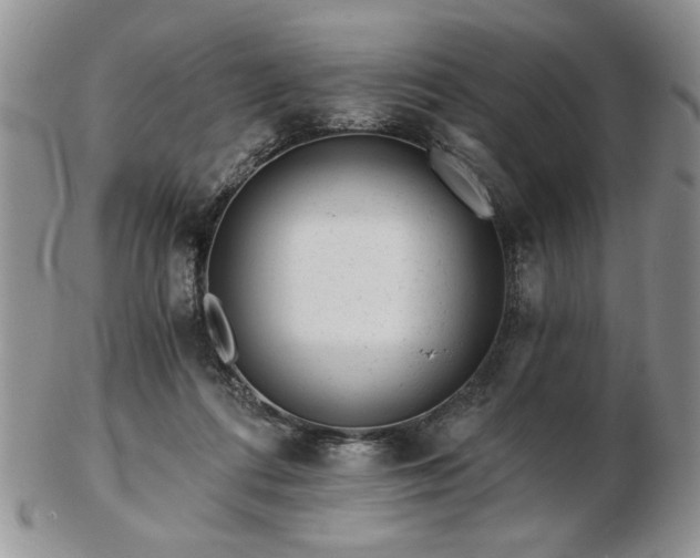 X0000102820312200808251117