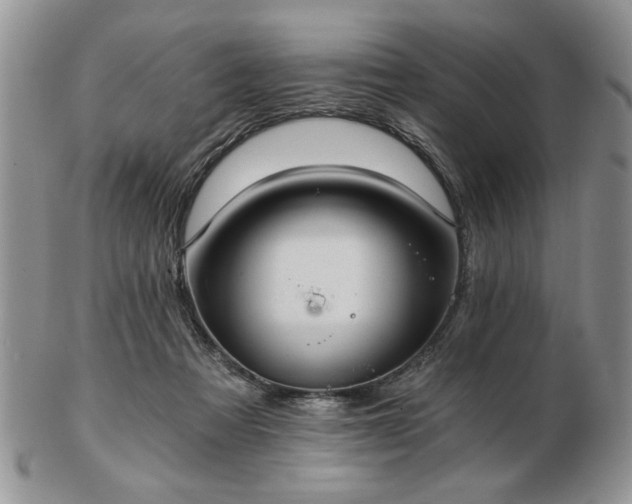 X0000102820313200808251117