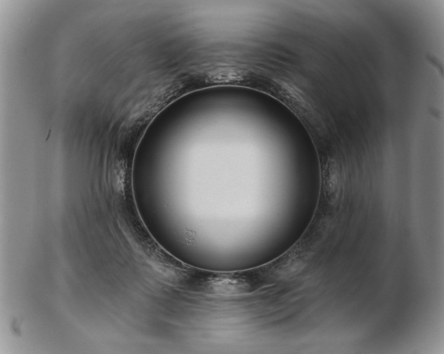 X0000102820315200808251117