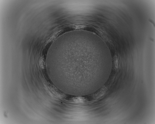 X0000102820316200808251117