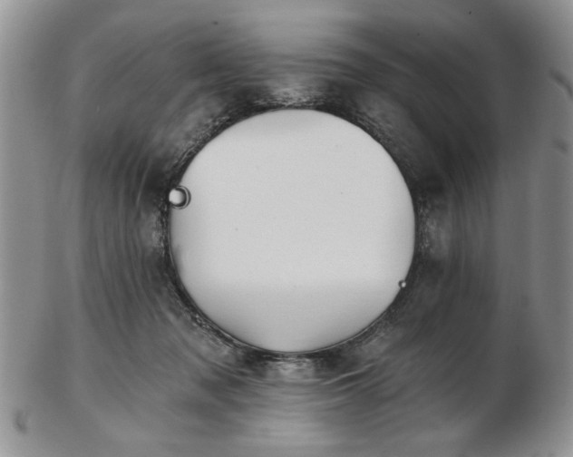 X0000102820317200808251117