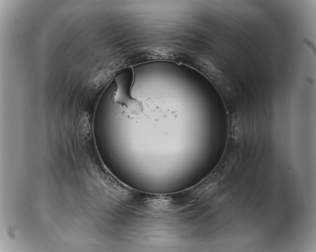 X0000102820318200808251117