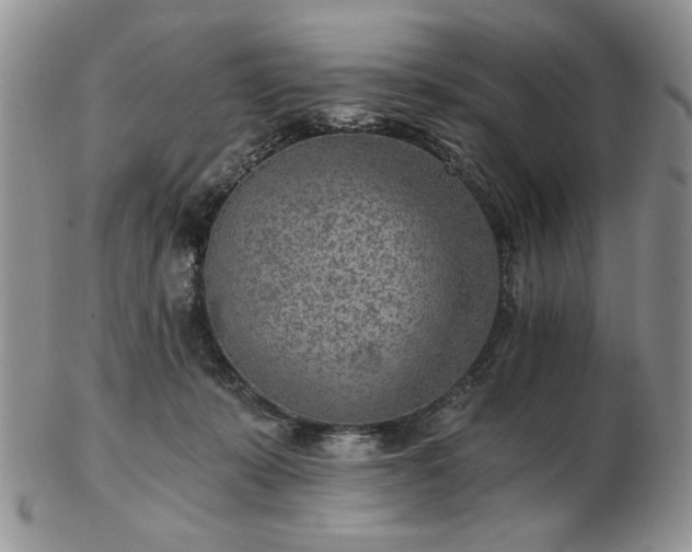 X0000102820319200808251117