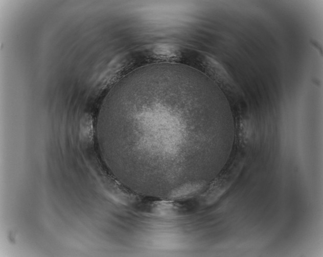 X0000102820320200808251117