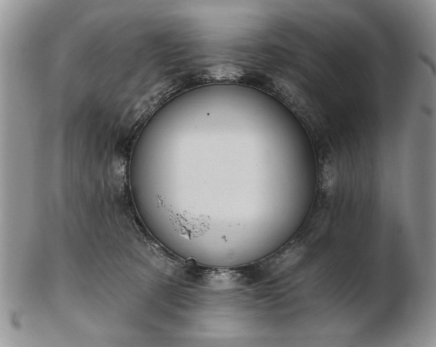 X0000102820321200808251117