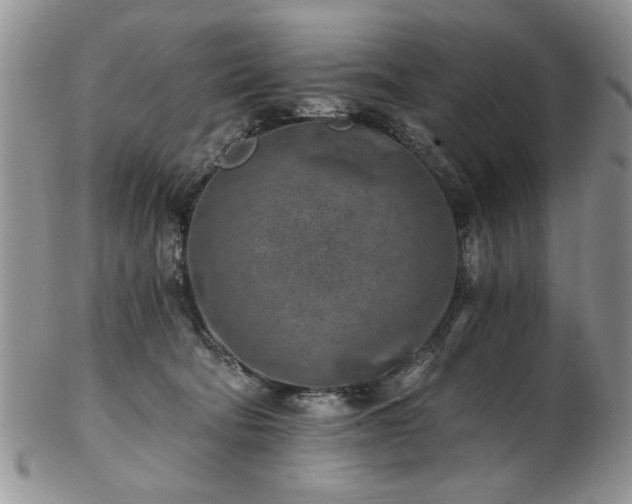 X0000102820322200808251117