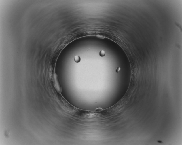 X0000102820323200808251117