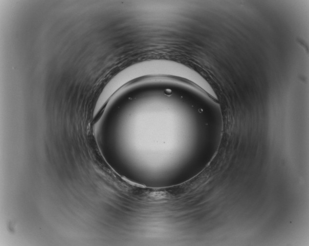 X0000102820324200808251117