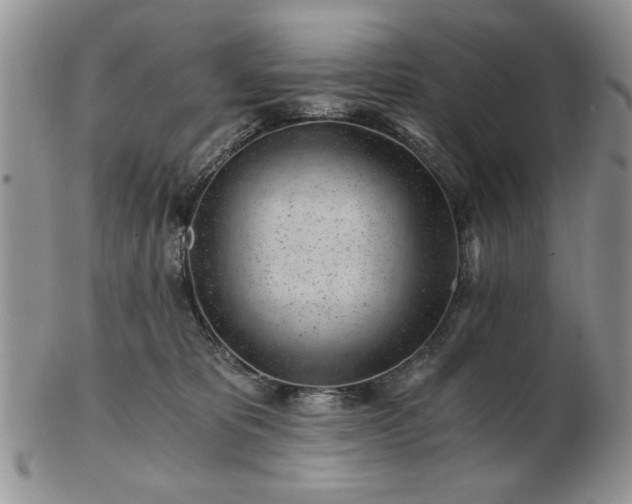 X0000102820325200808251117