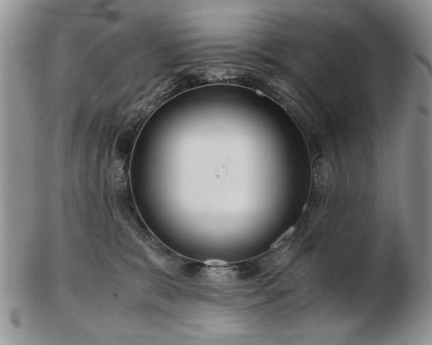 X0000102820327200808251117