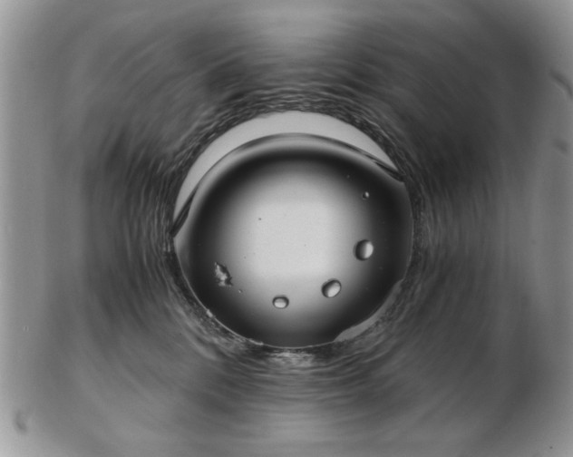 X0000102820328200808251117