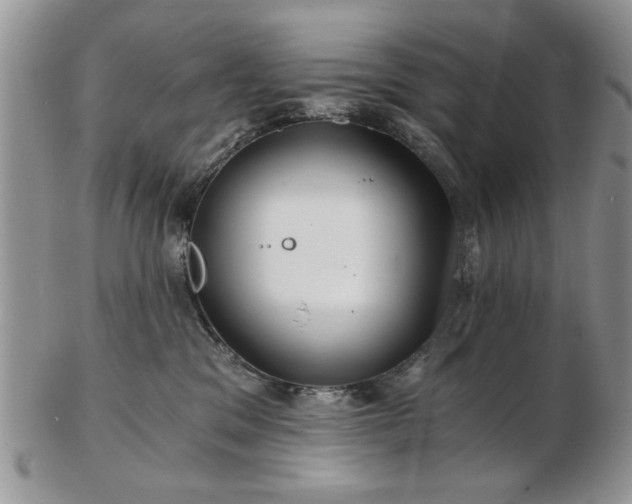 X0000102820329200808251117