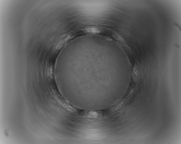 X0000102820330200808251117
