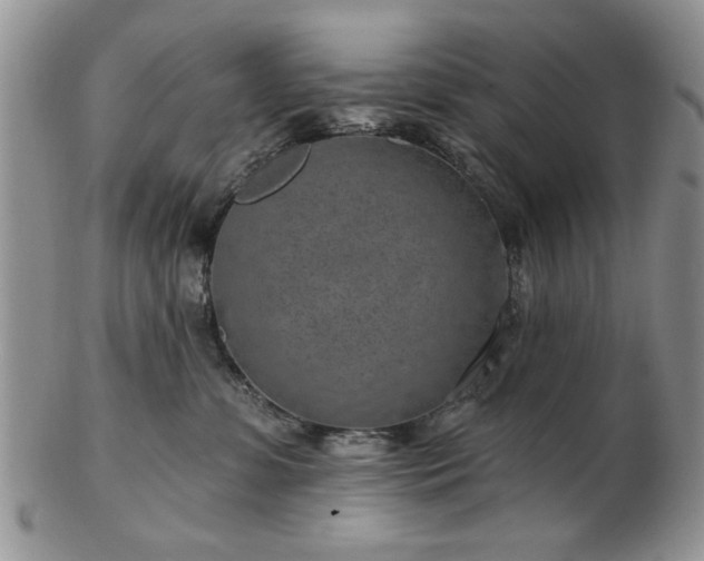 X0000102820331200808251117