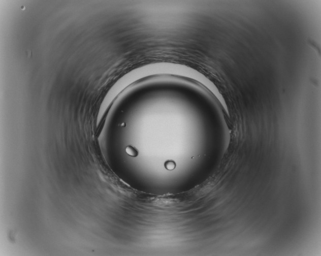 X0000102820332200808251116