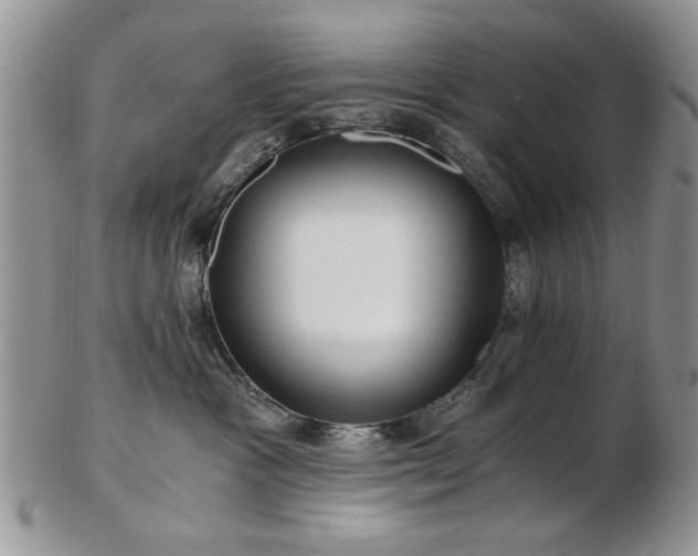 X0000102820333200808251116