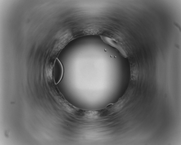 X0000102820334200808251116