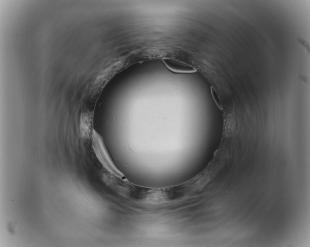 X0000102820335200808251116