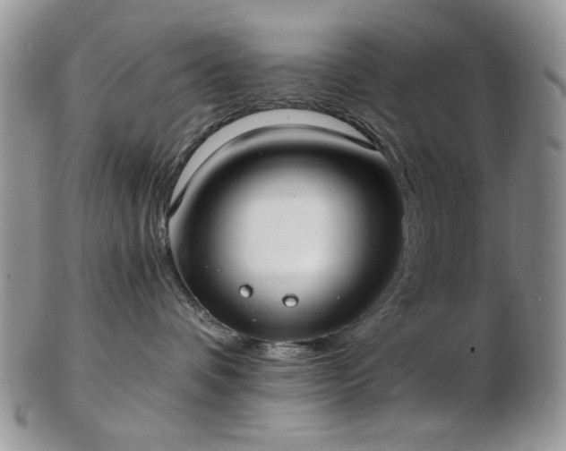 X0000102820336200808251116