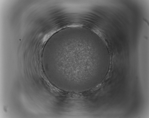 X0000102820337200808251116