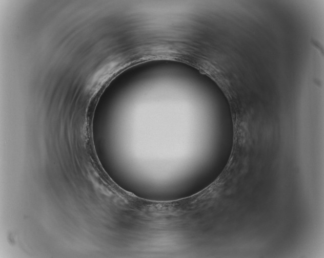 X0000102820338200808251116