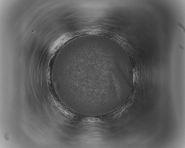 X0000102820339200808251116
