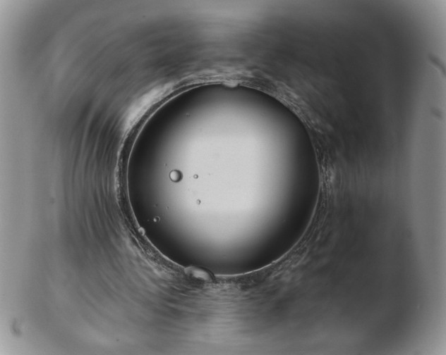 X0000102820340200808251116
