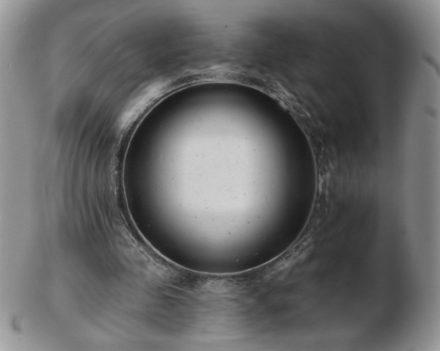 X0000102820341200808251116