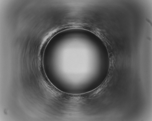 X0000102820342200808251116