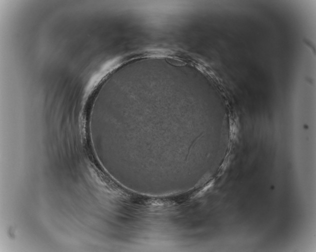 X0000102820343200808251116