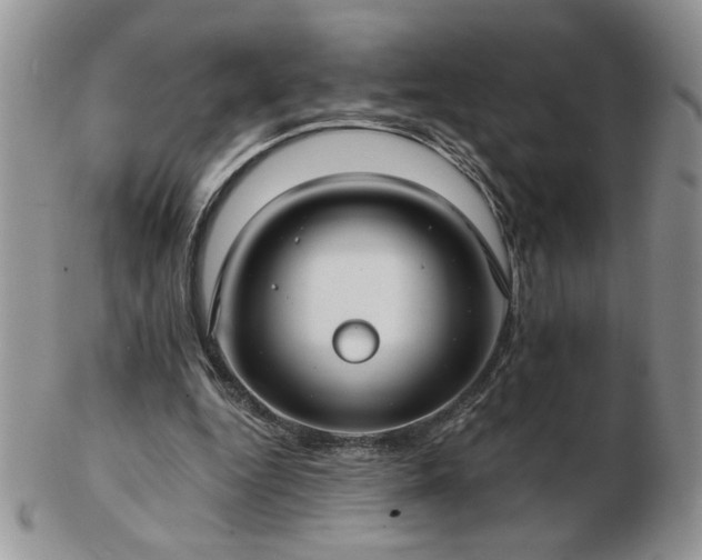 X0000102820344200808251116