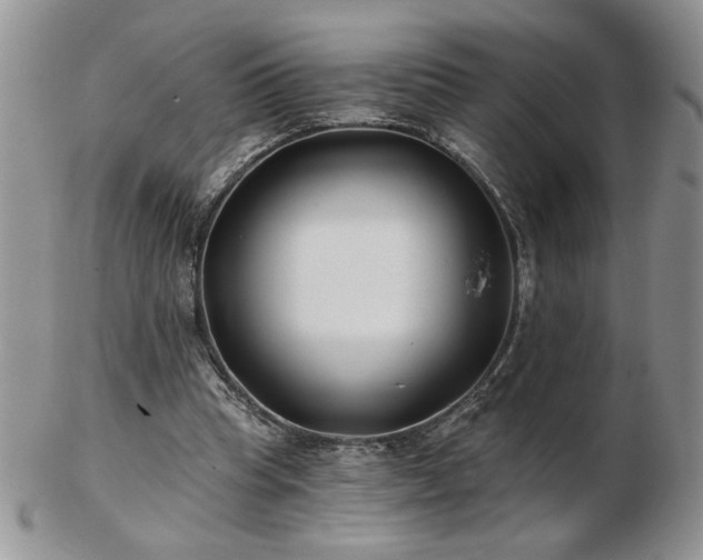 X0000102820345200808251116