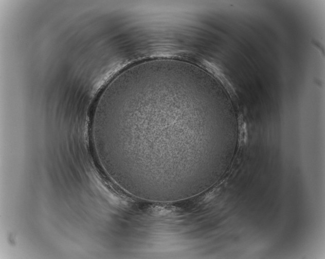 X0000102820346200808251116