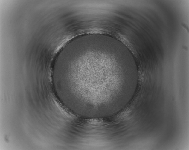 X0000102820347200808251116