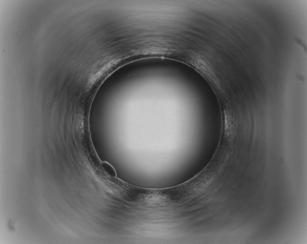 X0000102820348200808251116