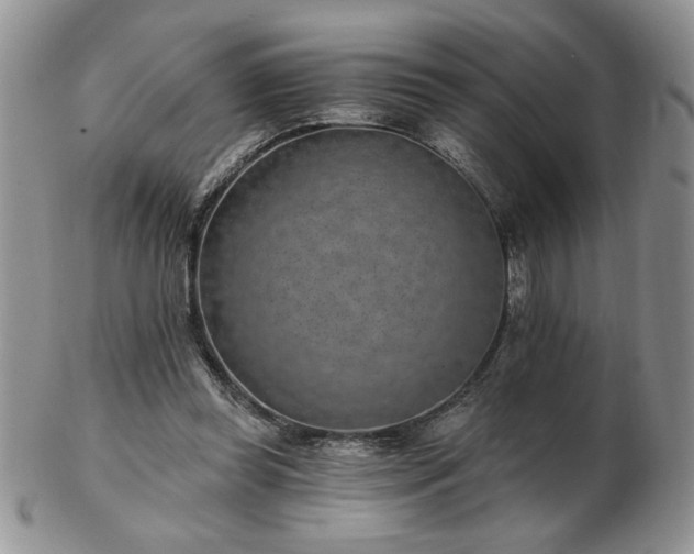 X0000102820349200808251116