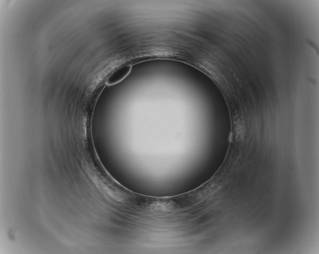 X0000102820350200808251116