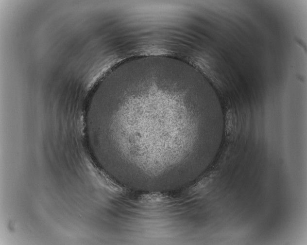 X0000102820351200808251116