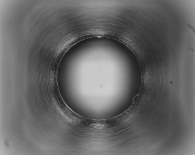 X0000102820352200808251116
