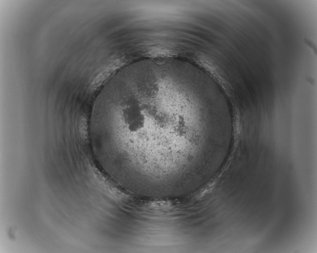 X0000102820353200808251116