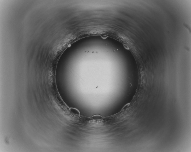 X0000102820354200808251116