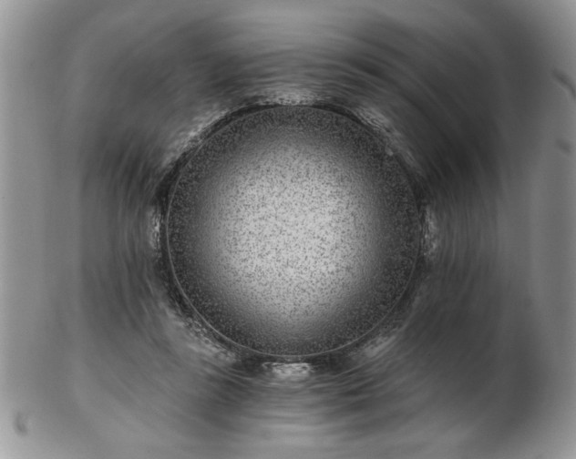 X0000102820355200808251116