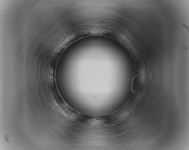X0000102820356200808251116