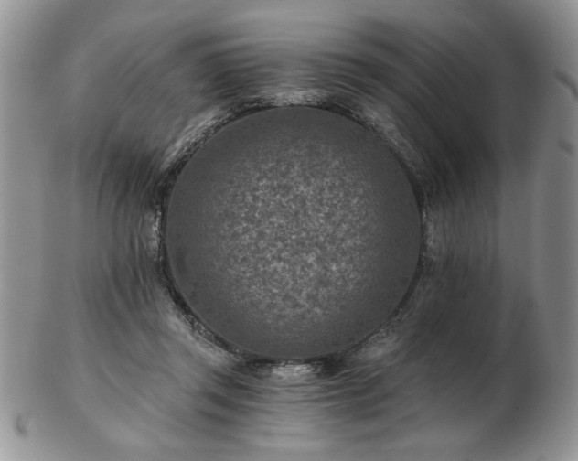 X0000102820357200808251116