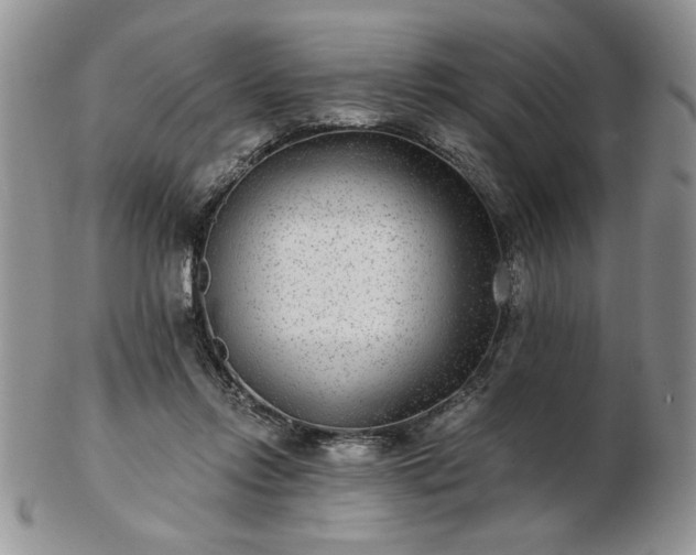 X0000102820358200808251116