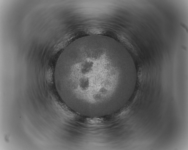 X0000102820359200808251116
